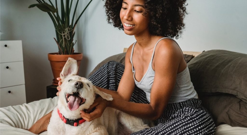 图片1 1 Pet Feeder