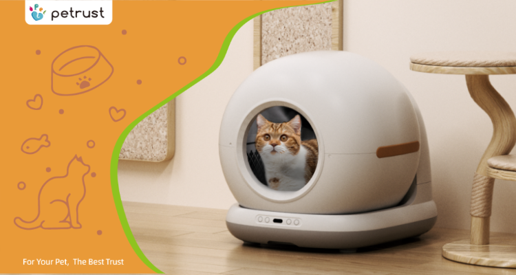 SZpetrust Self cleaning cat litter Blog