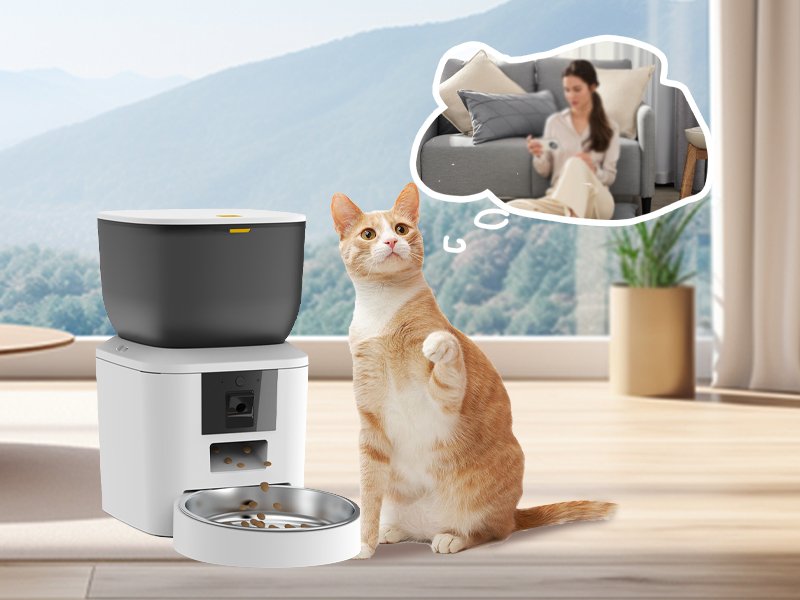 Automatic dog feeder with camera About