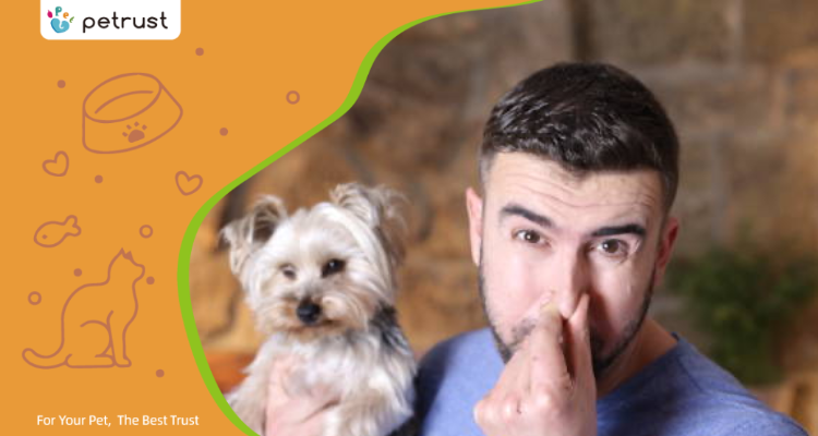 How Do I Stop My Cats Litter Box from Smelling Blog